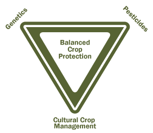The Crop Protection Australia® logo using a plant in a triangle is significant - the triangle represents the three key approaches to sustainable crop protection